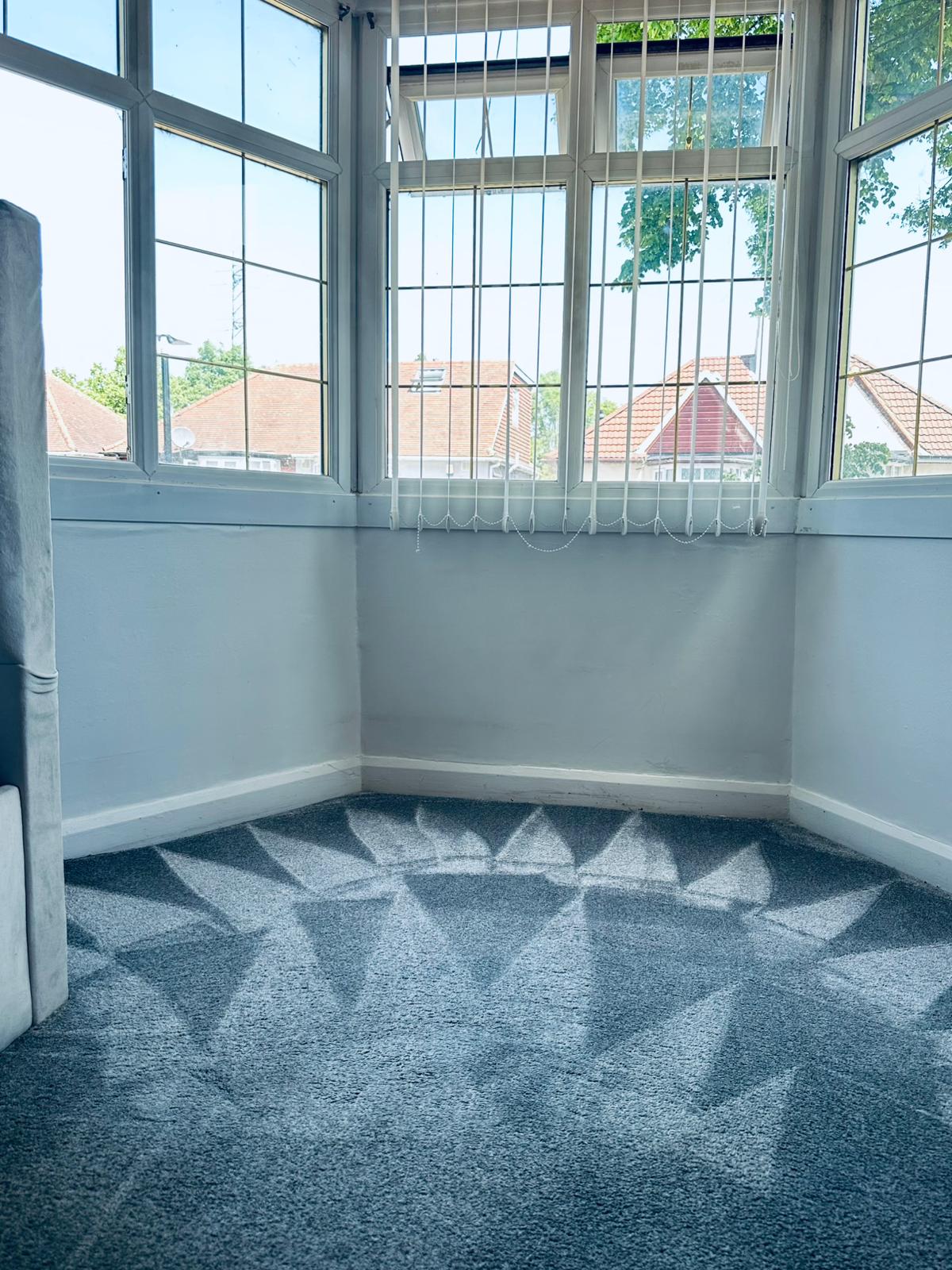 After FreshStep carpet cleaning