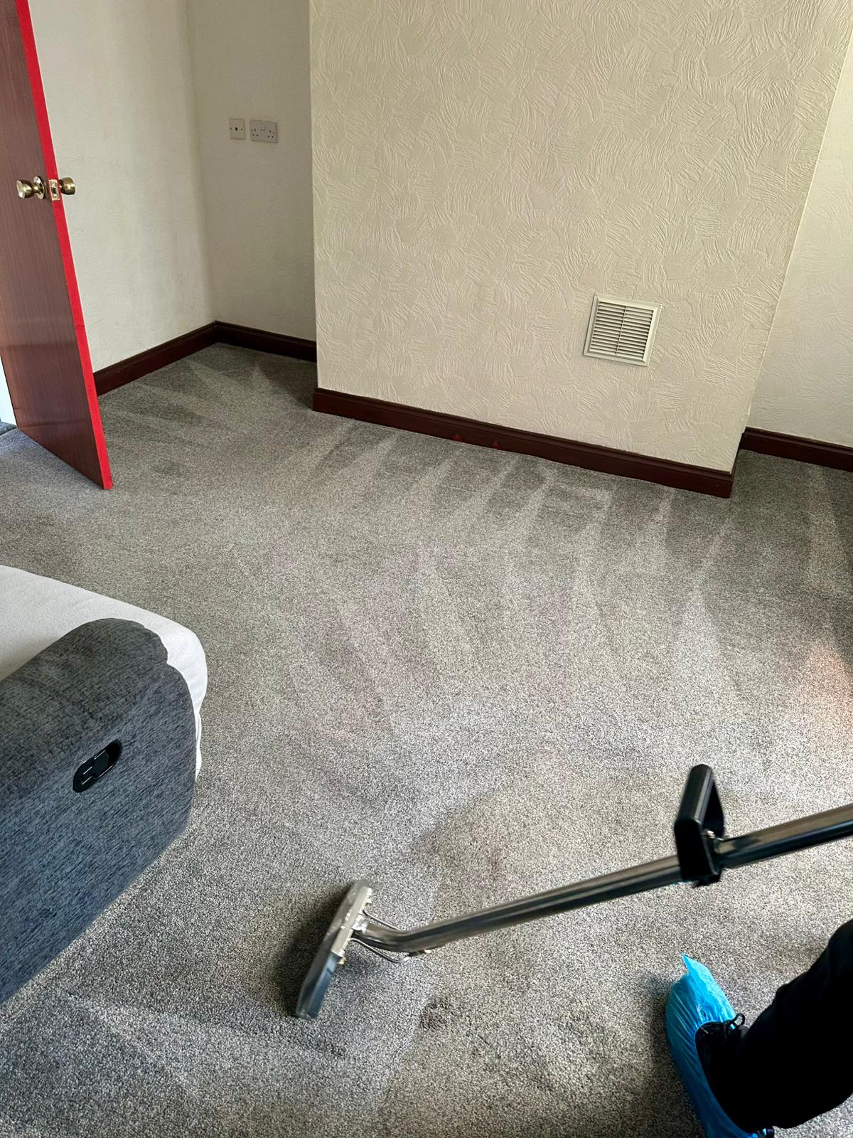 Before FreshStep carpet cleaning